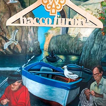Hotel Baccofurore
